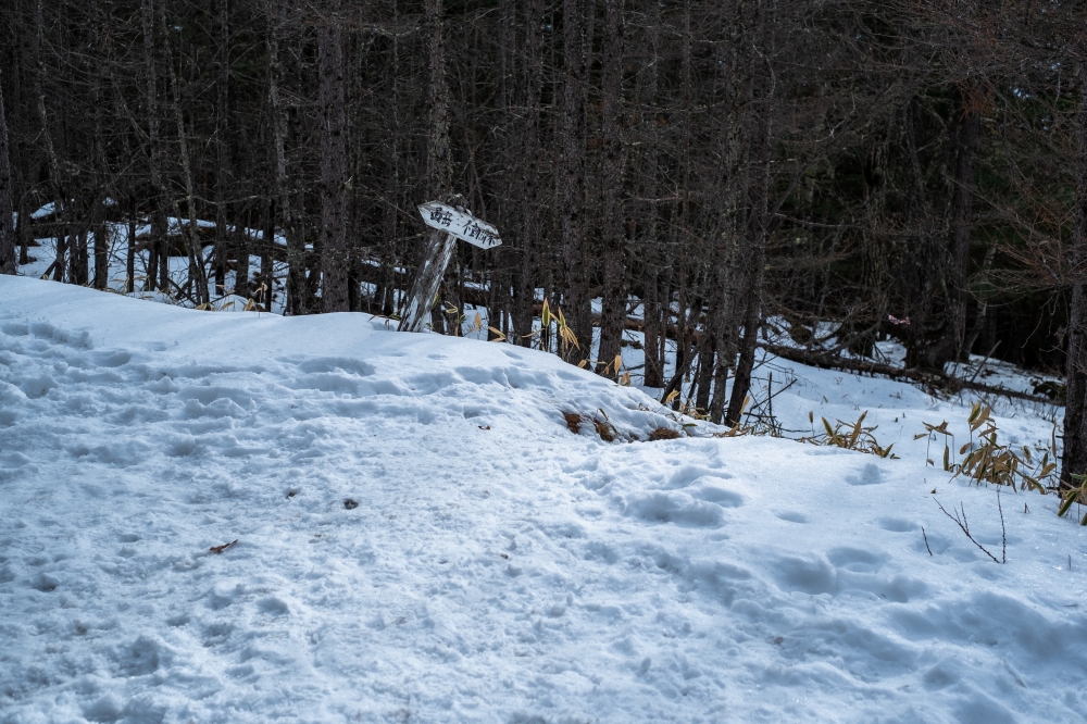 ガイドプラン　西岳