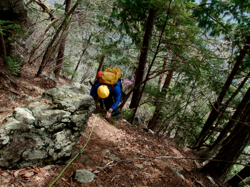 ガイドプラン　小怒田ノ尾根