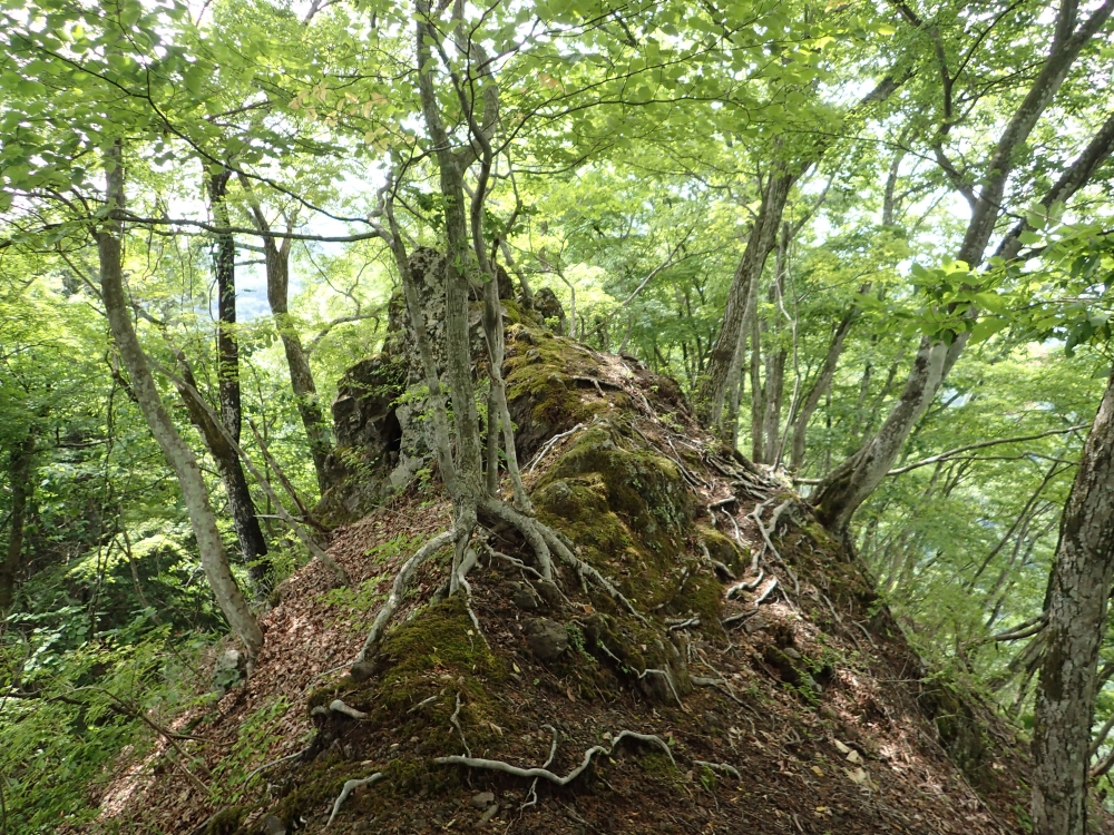 ガイドプラン　熊倉山