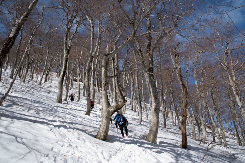 ガイドプラン 伯耆大山