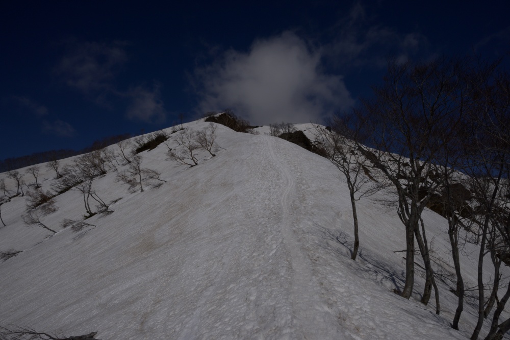 ガイドプラン　谷川岳