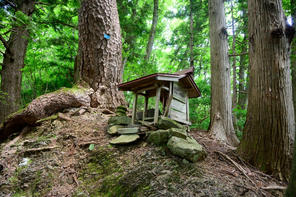 ガイドプラン 立処山