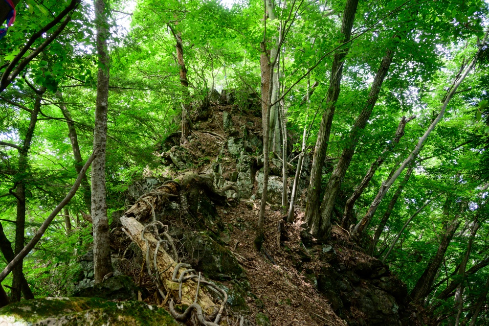 ガイドプラン 立処山