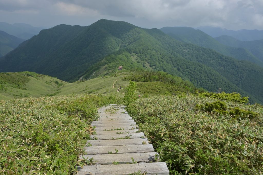 ガイドプラン 仙ノ倉山