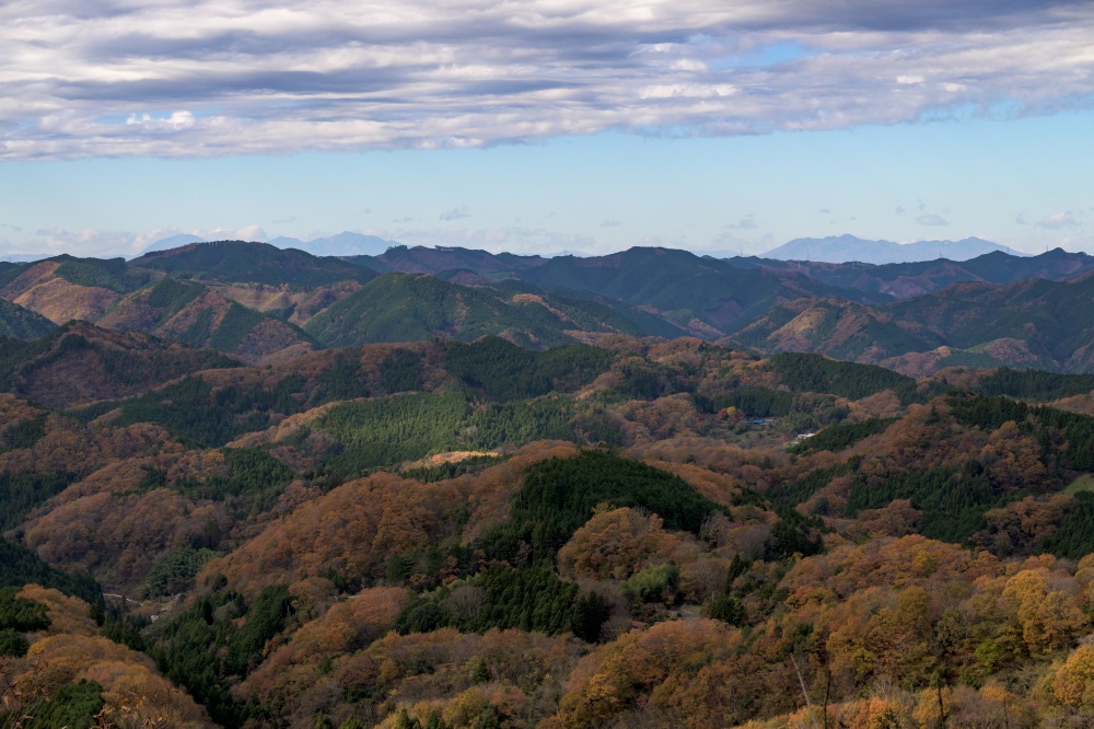 ガイドプラン　篭岩山