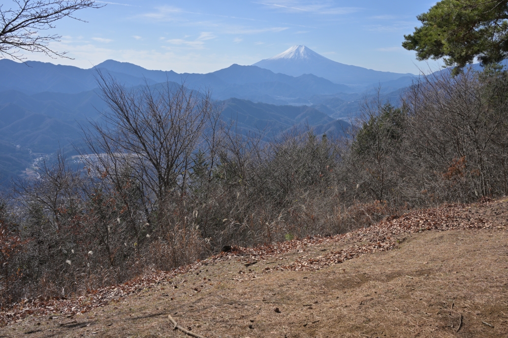 ガイドプラン　百蔵山～扇山