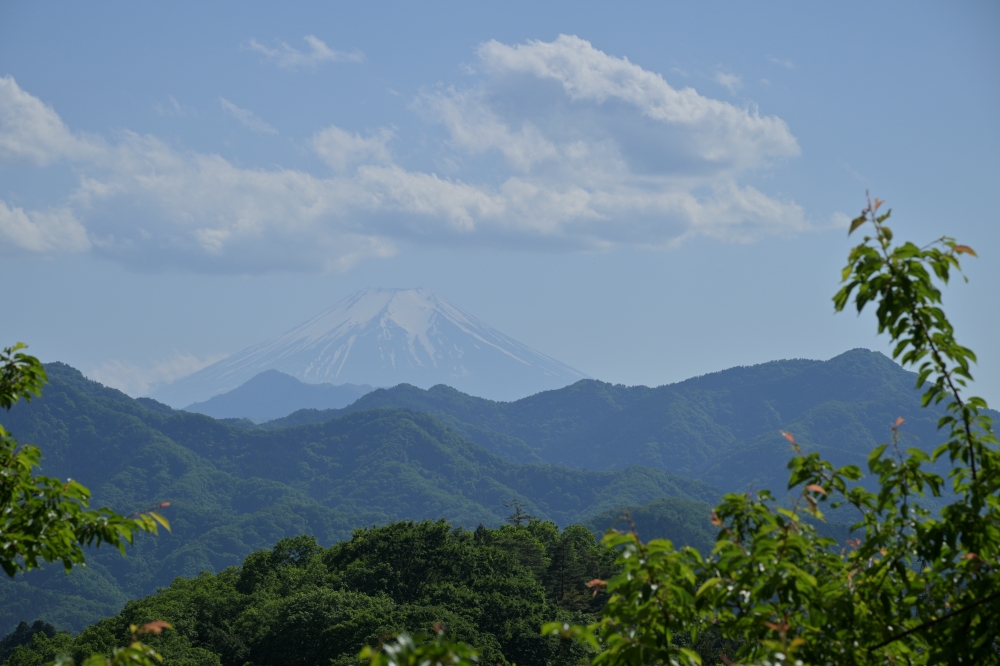 ガイドプラン　百蔵山～扇山