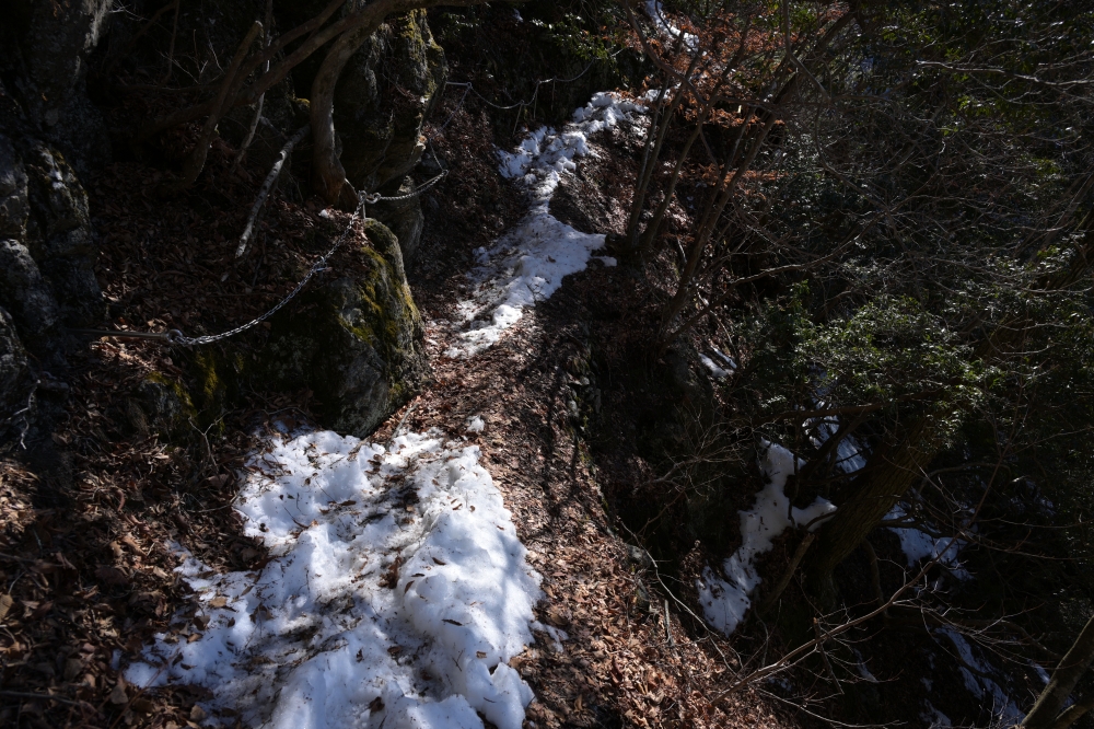 ガイドプラン　川苔山