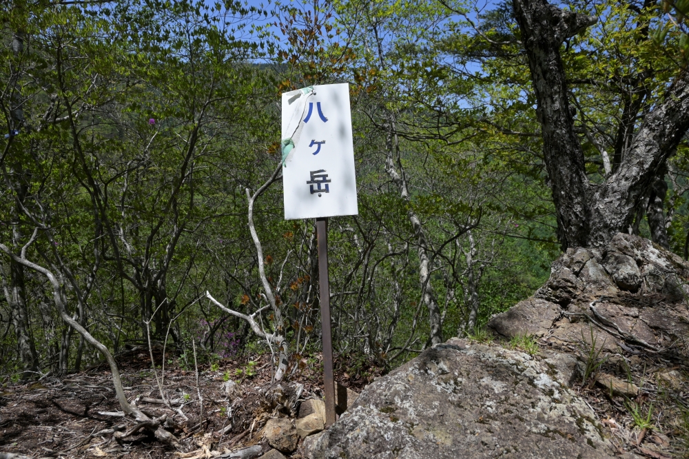 ガイドプラン　十二ヶ岳