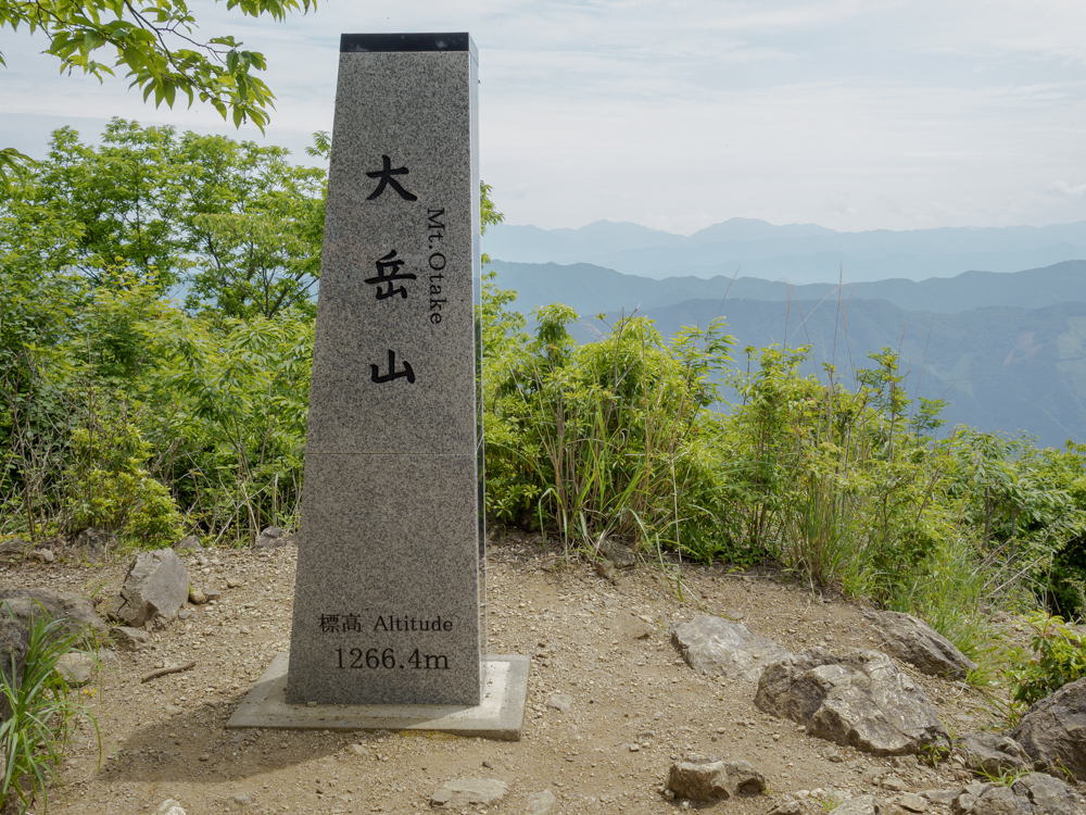最近の様子と今後の予定
