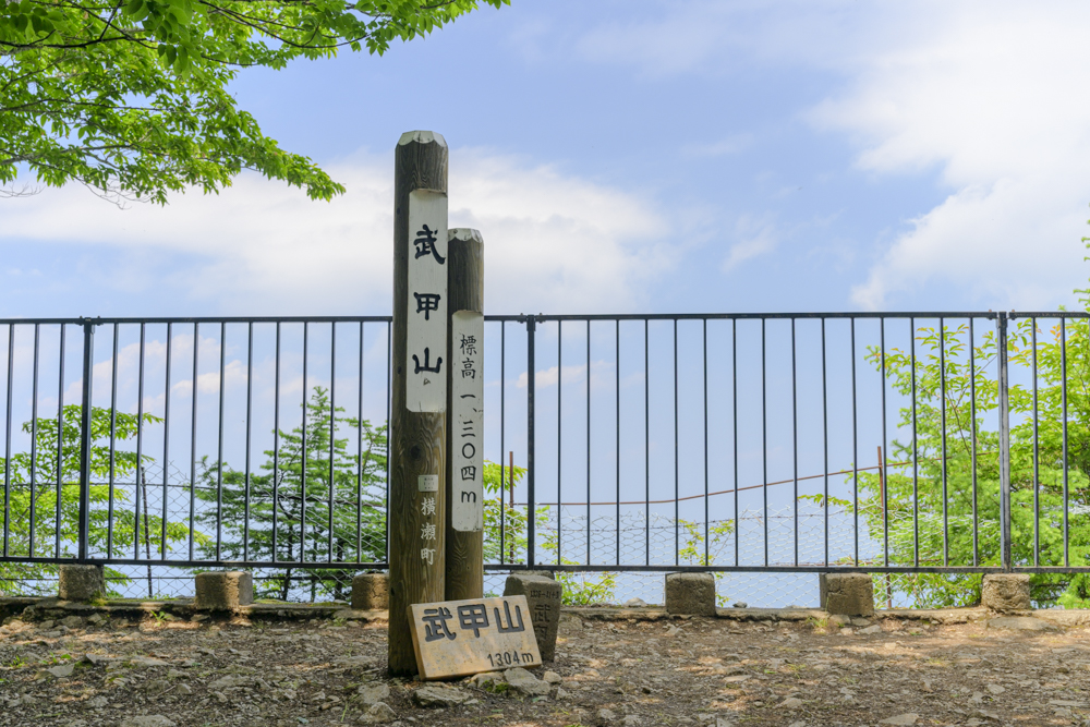 最近の様子と今後の予定