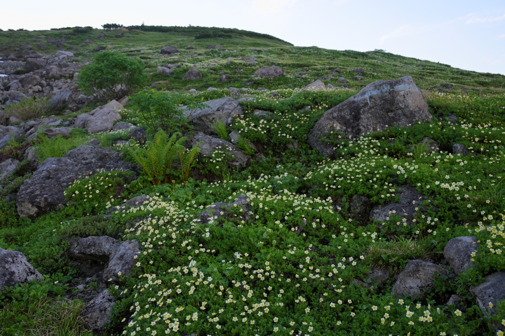 夏山シーズン前半に登った山