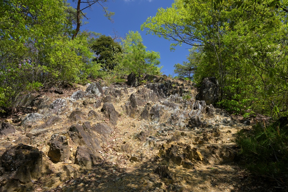 ガイドプラン　天狗山