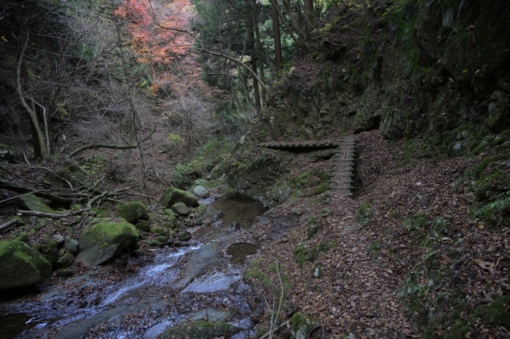 ガイドプラン 三峰山