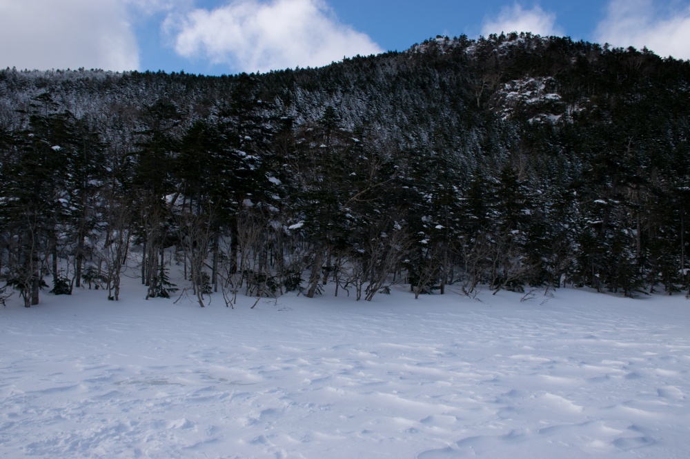 ガイドプラン 北横岳