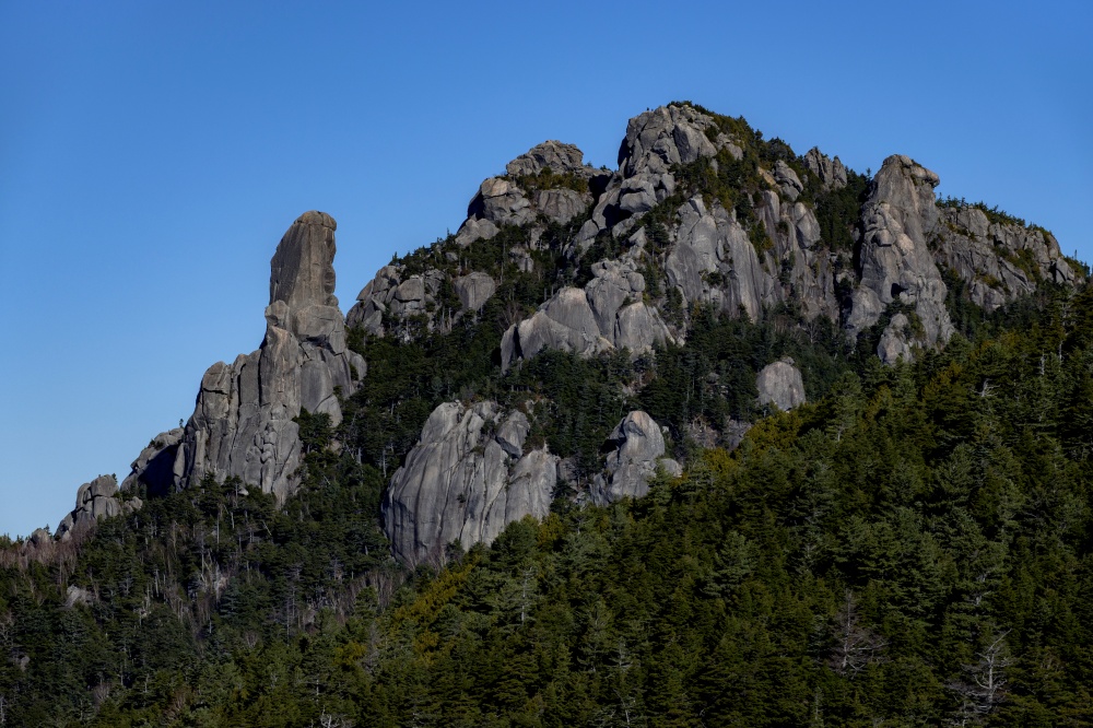 今月の山の雑誌