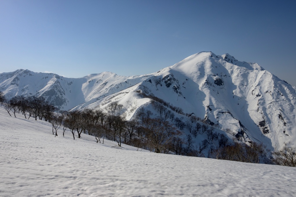今月の山の雑誌