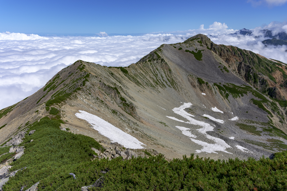 2026年あけましておめでとうございます