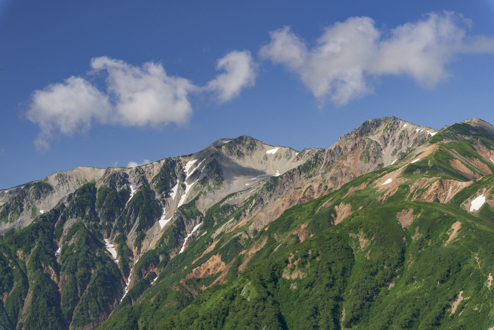 2026年あけましておめでとうございます