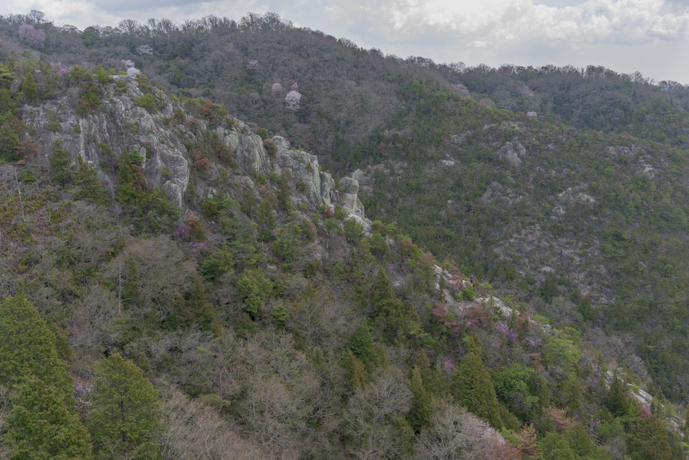 2026年あけましておめでとうございます