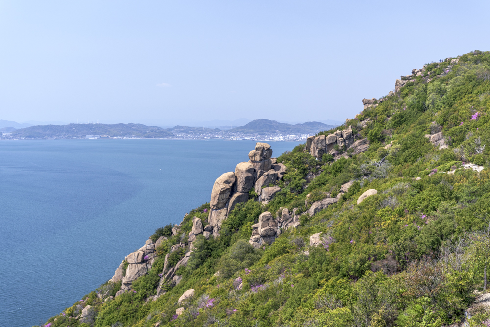 2026年あけましておめでとうございます