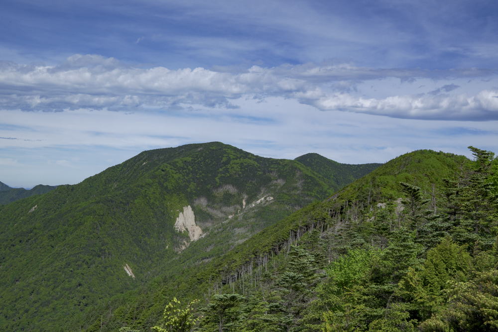 2026年あけましておめでとうございます