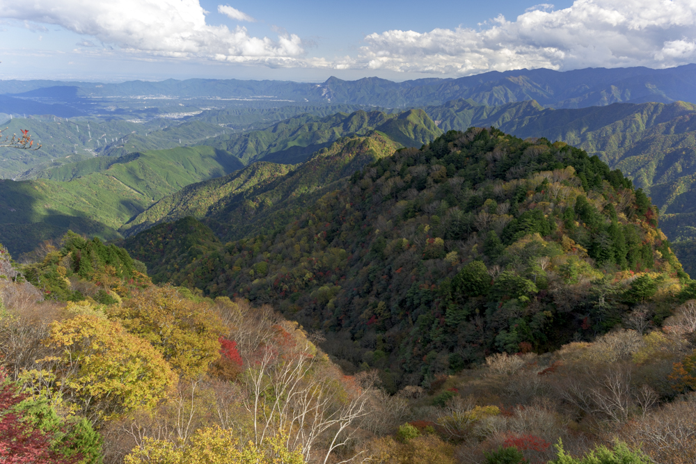2026年あけましておめでとうございます