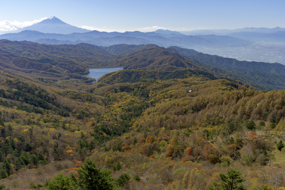 2026年あけましておめでとうございます