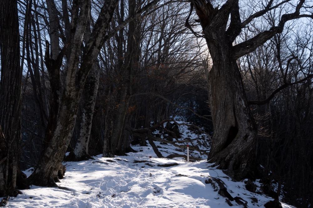 ガイドプラン　御前山