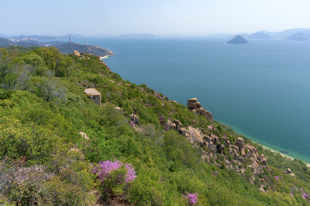 今月の山の雑誌