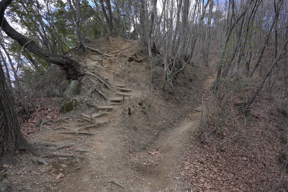 ガイドプラン　神成九連峰から鍬柄岳