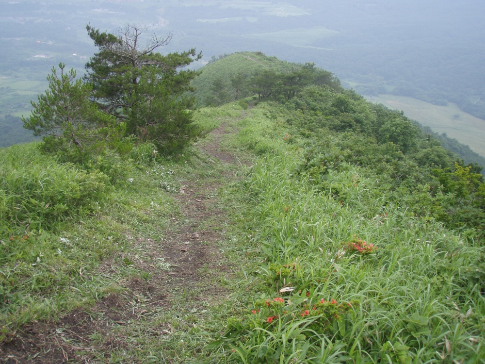 ガイドプラン　上蒜山