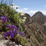 アイキャッチ　ガイドプラン　赤岳から硫黄岳